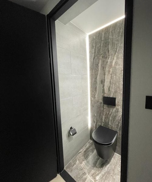 SPC Wandpaneel Geminis toilet 2 SPC Wandpaneel Geminis toilet 2