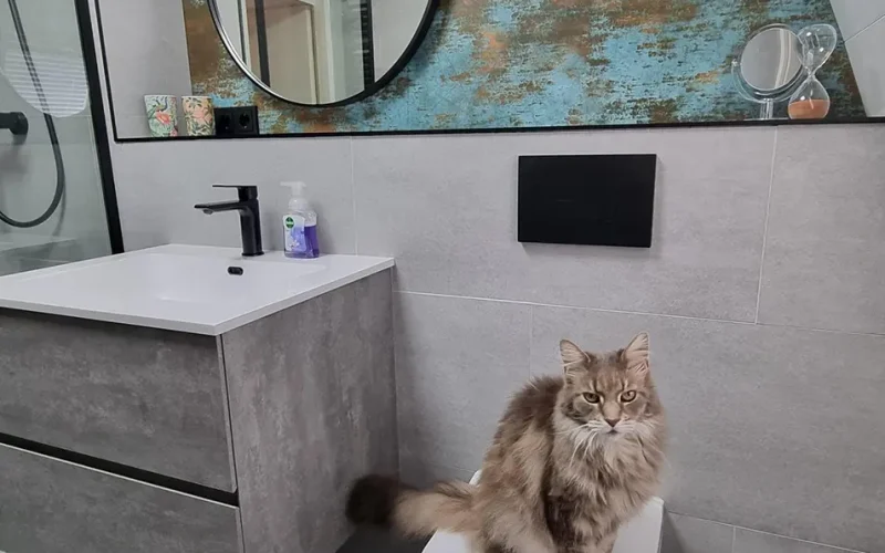 badkamer zelfklevende tegels geborsteld licht en kat badkamer zelfklevende tegels geborsteld licht en kat