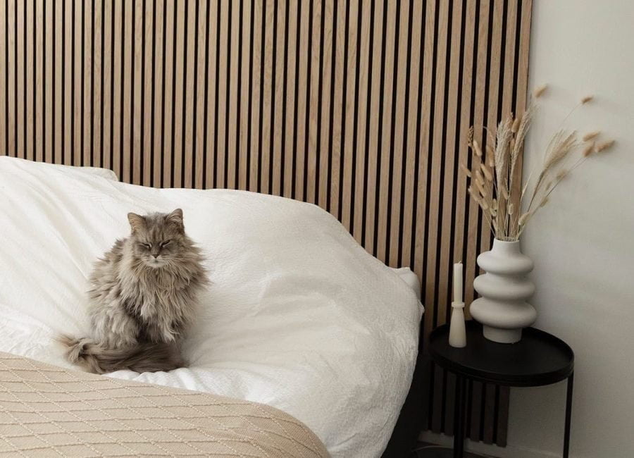 Slaapkamer met akoestische wandbekleding en een pluizige kat